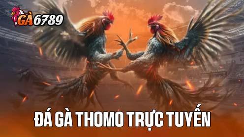 GA6789.dev - Khám phá thế giới giải trí đỉnh cao và hơn thế nữa!