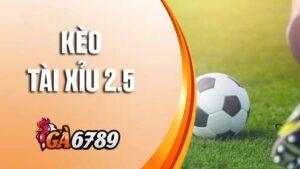Kèo tài xỉu 2.5 trong bóng đá