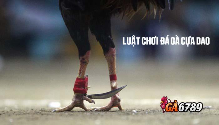 Luật chơi đá gà cựa dao tại GVUI