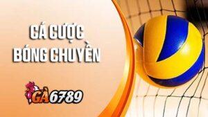 Cá Cược Bóng Chuyền – Trải Nghiệm Cá Cược Thể Thao Đỉnh Cao Tại GA6789