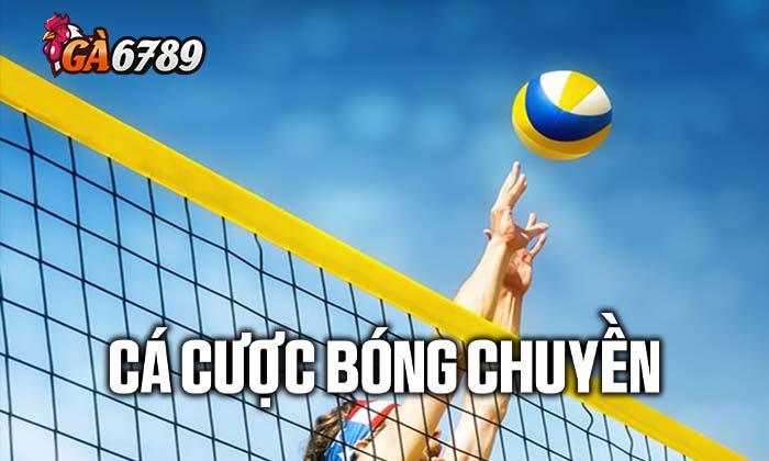 Giới thiệu về cá cược bóng chuyền tại GA6789 Giới thiệu về cá cược bóng chuyền tại GA6789